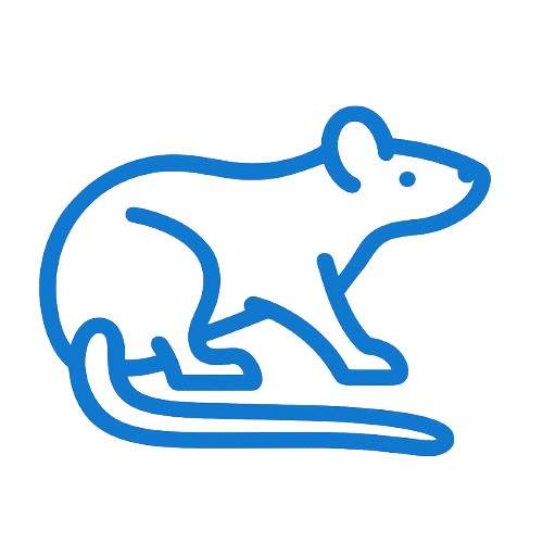 Dératisation raisonnée